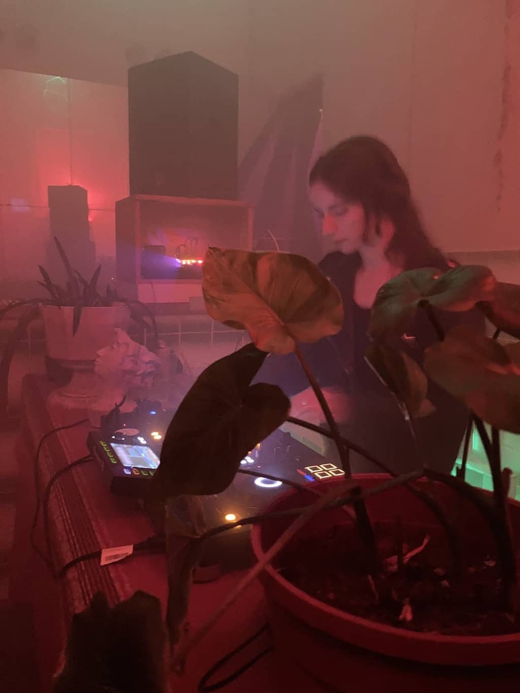 Greta Greta hiding behind the foliage and cooking up some tunes