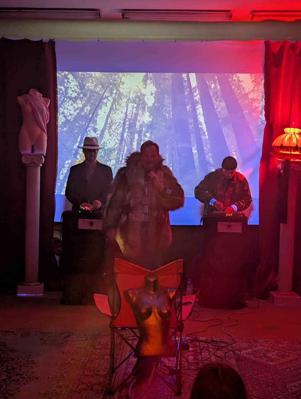 Wild Animals Time for safari