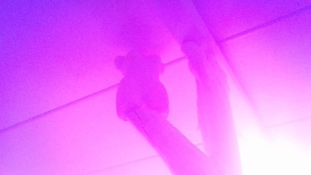 Laura Palmer Mannequin in pink light