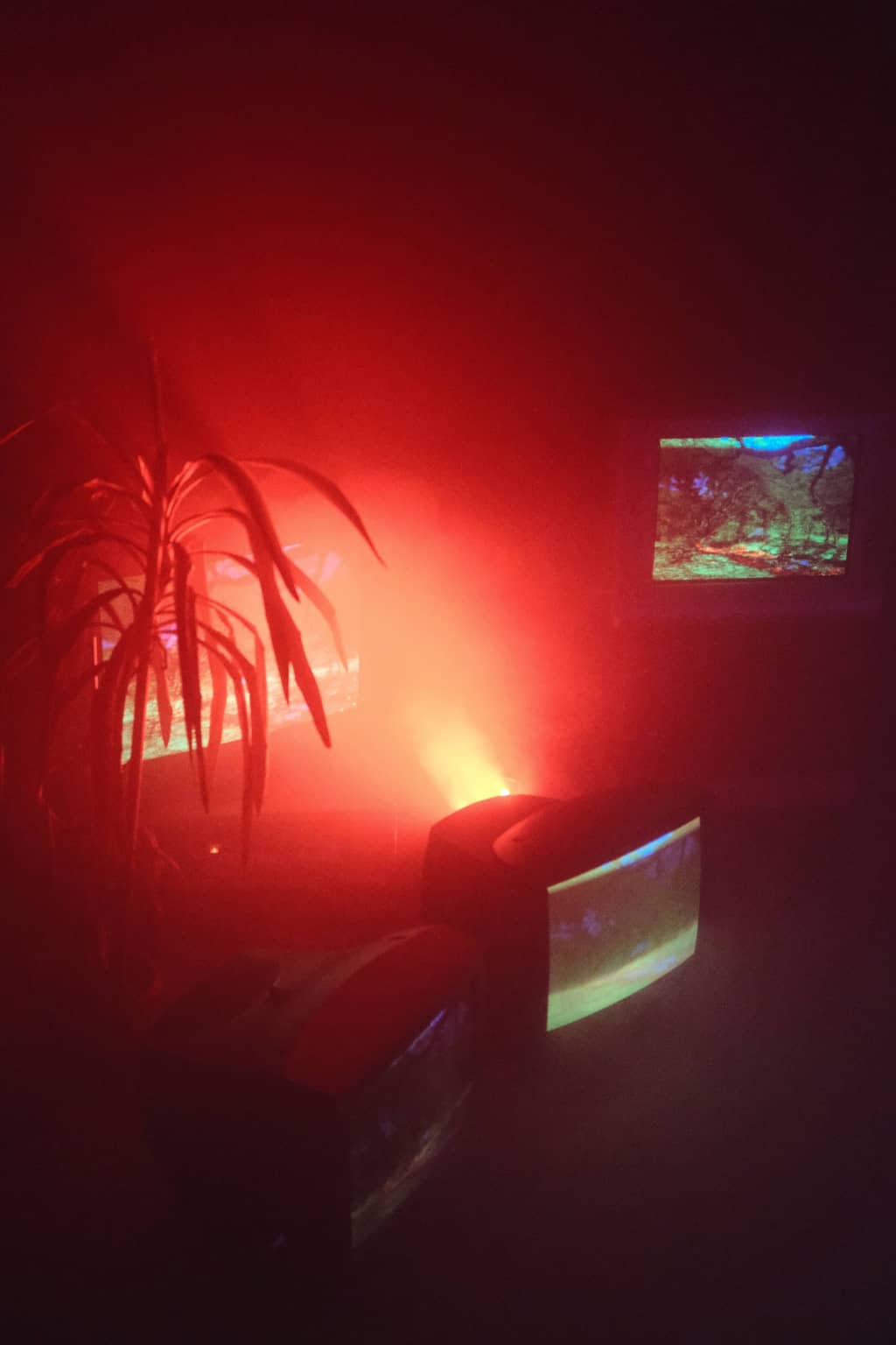 Digital Tribalism 2 TVs with palm next to them, red light shining through smoke