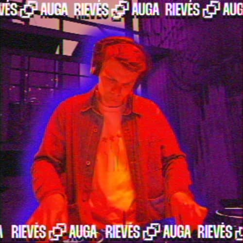 Cover art for RIEVĖS AUGA #1 - Ernis